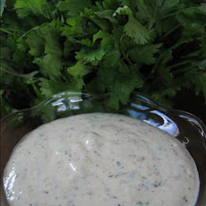 Amy's Cilantro Cream Sauce