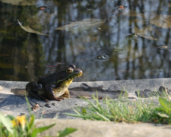 [IMG_00085.jpg]