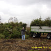 Tannenbaumaktion 08_780.jpg
