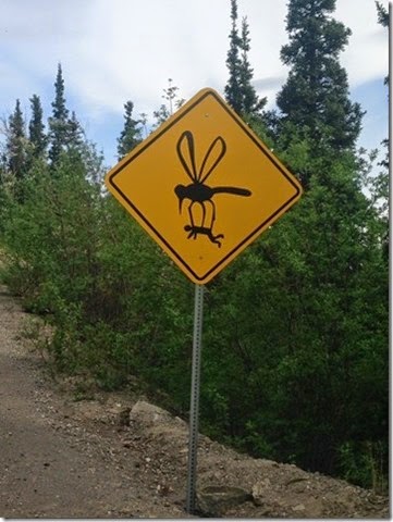 [mosquito13.jpg]