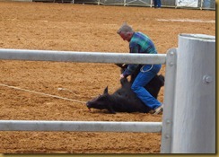 IMG_5536 IMG_5536