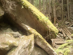 Stawamus Chief Three summits Loop