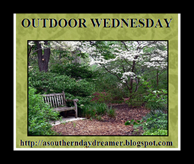 Outdoor-Wednesday-logo_thumb1_thumb1[2]