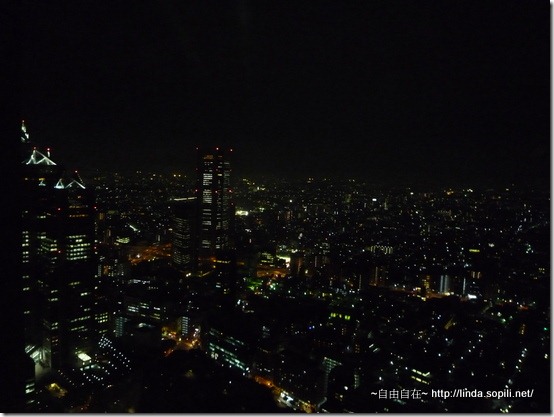 東京都廳-免費夜景 東京都廳-免費夜景