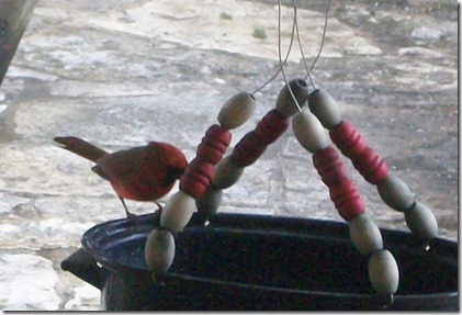 birdfeeder in the rain 021