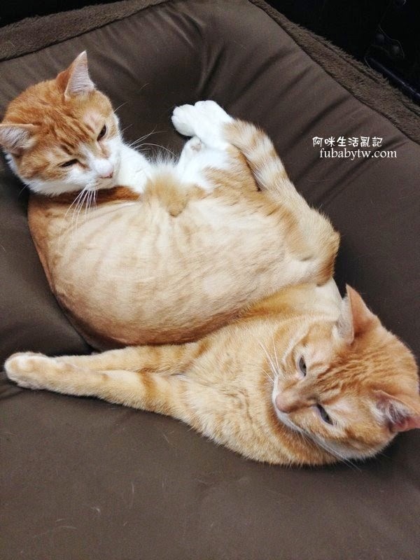 調整大小IMG_5592 調整大小IMG_5592