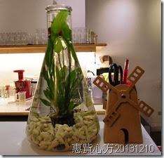 CIMG0197 CIMG0197