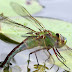 20120415_20