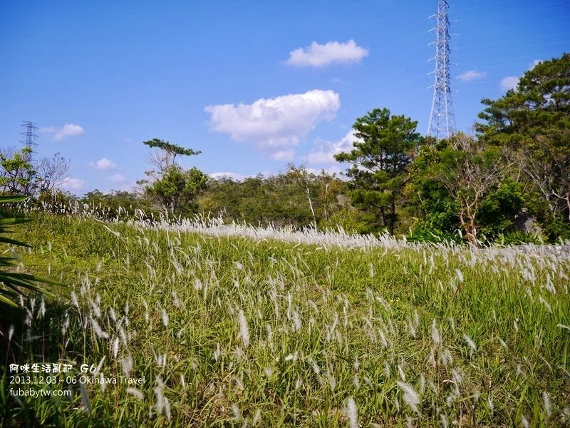 調整大小P1010619 調整大小P1010619
