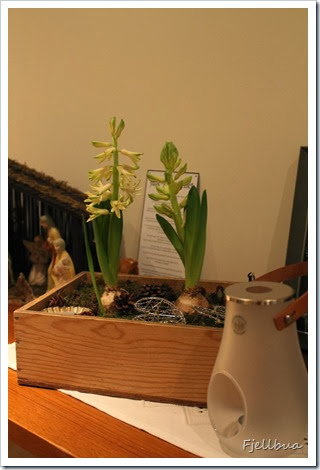 IMG_5130 IMG_5130