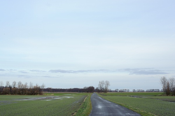 DSC_7256