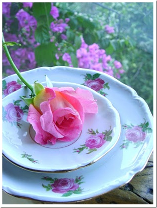 Dic.29,09-arreglos rosas y jard&igrave;n 444