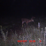 ICAM0036 (3).JPG