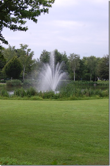 DSC_7895 DSC_7895
