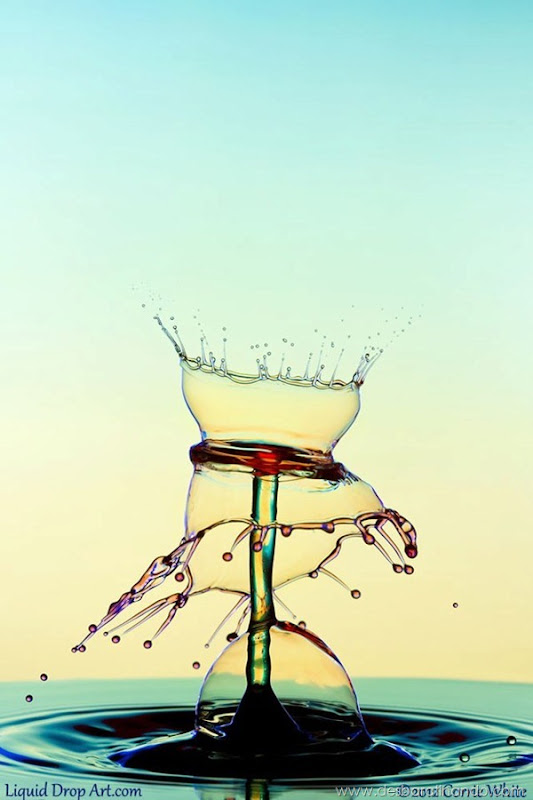 liquid-drop-art-gotas-caindo-foto-velocidade-hora-certa-desbaratinando (16) liquid-drop-art-gotas-caindo-foto-velocidade-hora-certa-desbaratinando (16)