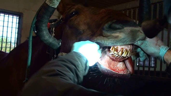 [20141114121610-%25284%2529%255B2%255D.jpg]