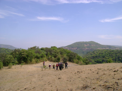 Jungli Jaigad
