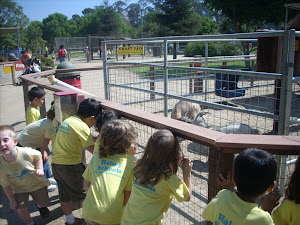 Enjoying the farm animals!