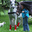 Escorte Huwelijk Bruno en Ingrid