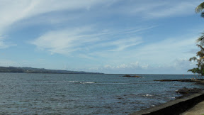 Big Island-Hilo-Hawaii2011-Ines-SAM_1475.JPG