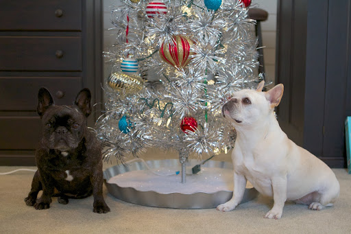 Franny, we did a great job!