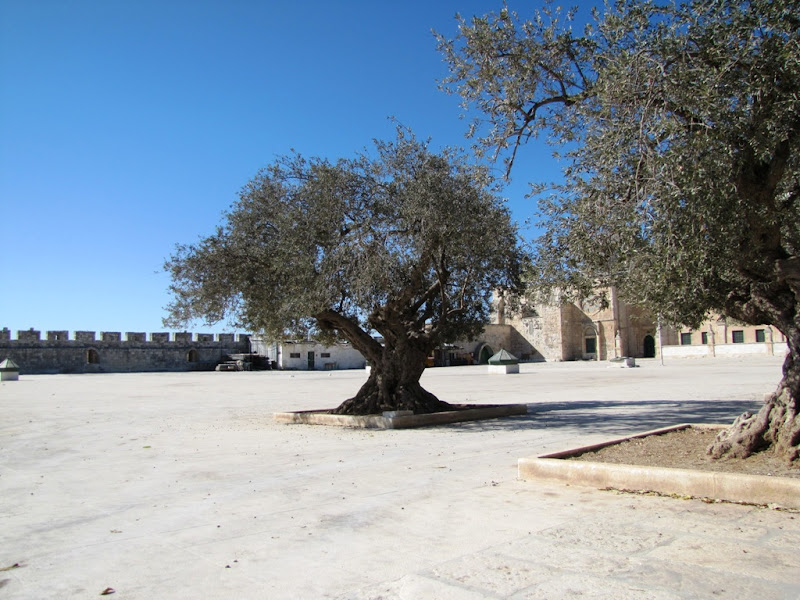 http://lh3.ggpht.com/-ZhotBem9rx4/TqB4Yd-1DEI/AAAAAAAAG-E/uSKXckYwLSo/s800/IMG_4969.jpg