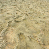 DSCN1520.JPG