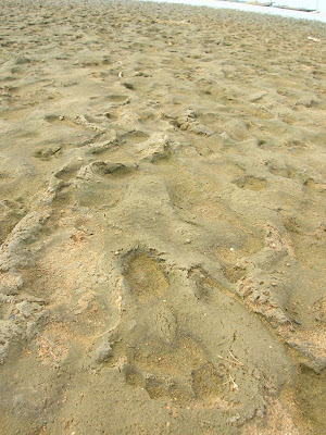 DSCN1520.JPG