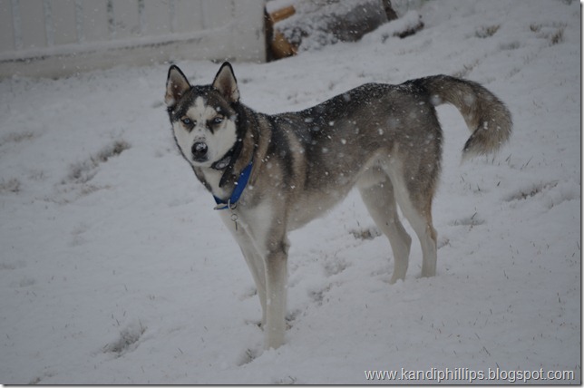 DSC_0653 DSC_0653