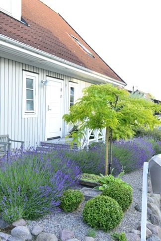 Endnu en forhave claus dalby mit haveliv