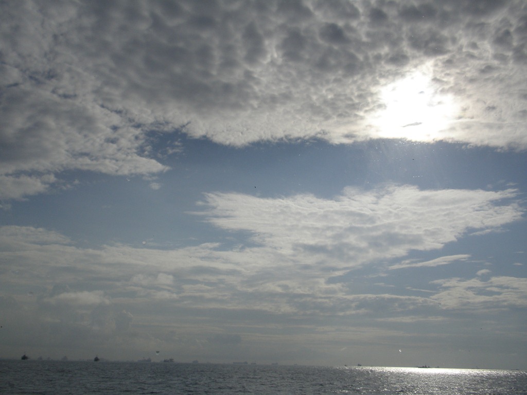 [P91401923.jpg]