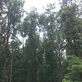 100_0022.JPG