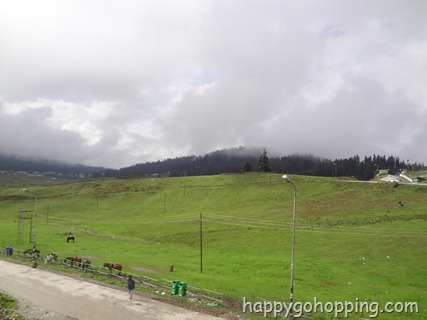 DSC00668