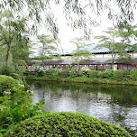 Edo Wonderland is a beautiful park in Nikko, Japan 