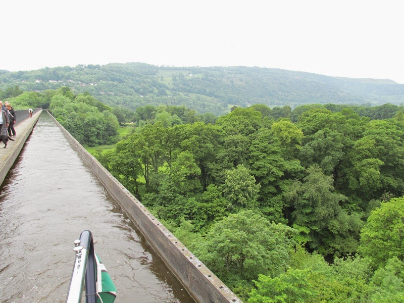 pontycyste 29 -05-1014 145