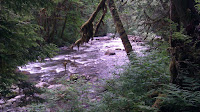 1340574023855.jpg Photo 1340574023855.jpg Photo
