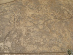 Davis Sequoia Sand 2 - Eastrock.JPG
