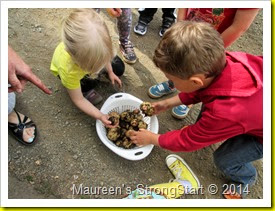 IMG_4525 IMG_4525