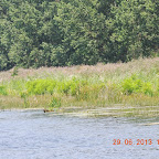 DSCN8218.JPG