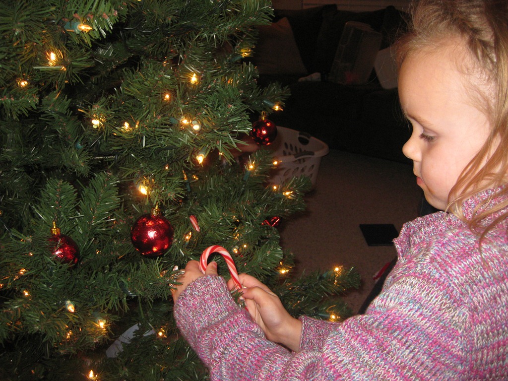[IMG_7227%255B2%255D.jpg]