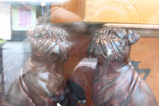 These little pooches…