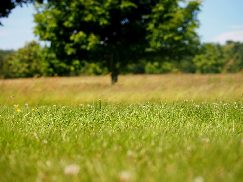 [10%2520July%252014%252006-07-2013%252011-13-41%255B3%255D.jpg]