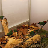 IMG_5339.jpg