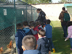 Visita agli animali