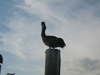 IMG_4649.jpg