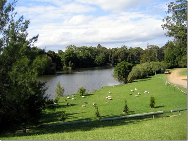 Unpowered sites along the river Clarence Town Caravan Park