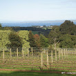 Chef-led journey through the Mornington Peninsula seventeen IMG_1623.jpg