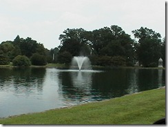 IMGA0995 IMGA0995