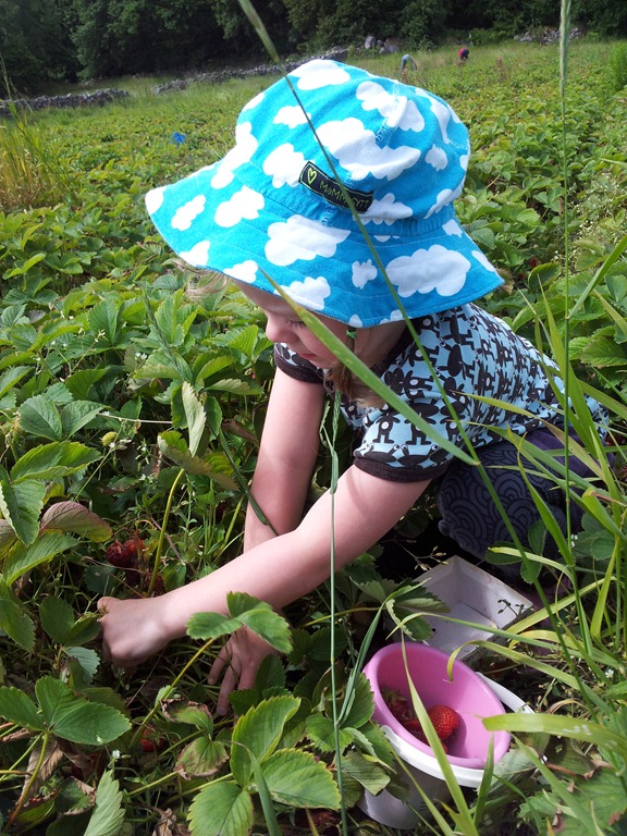 [20120627_113229%255B5%255D.jpg]