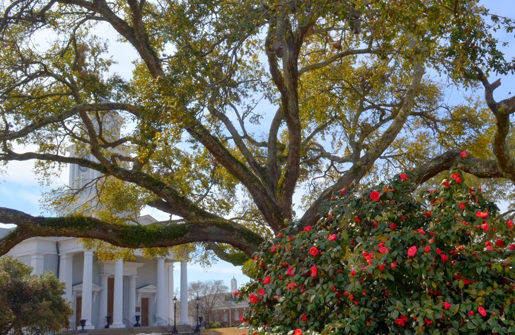 [Natchez_029%255B3%255D.jpg]